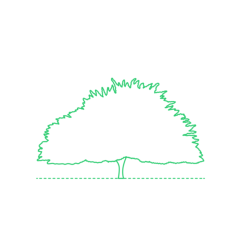 Plants Deciduous Trees Hawthorn Tree Sketch Style Svg Vector, Free Vectors File